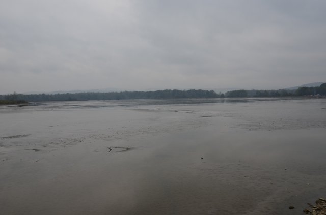 dsc_1007
