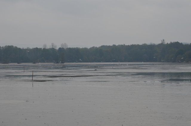 dsc_1017