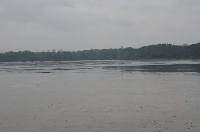dsc_1020
