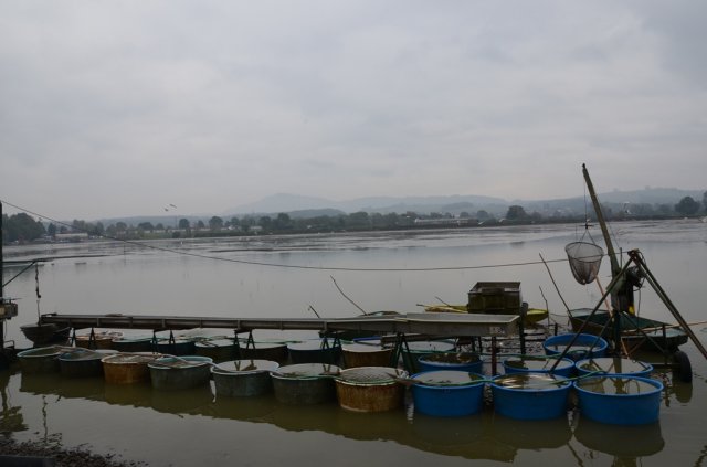 dsc_1037