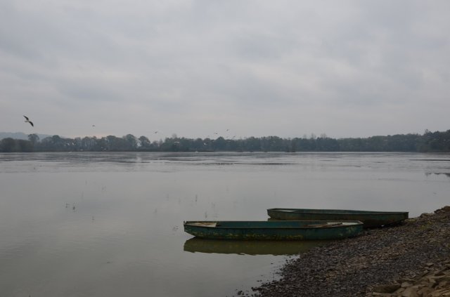dsc_1038