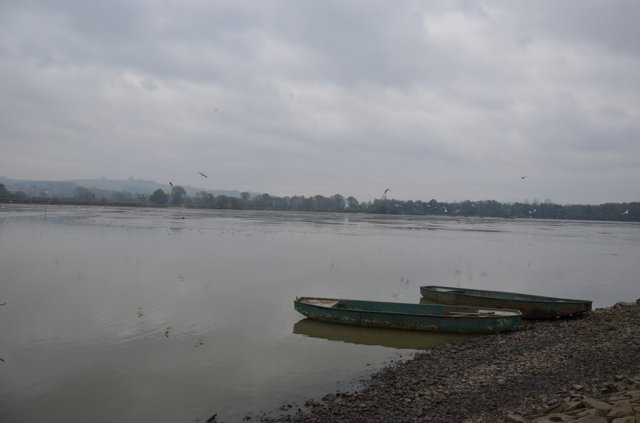 dsc_1095