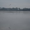 dsc_1077