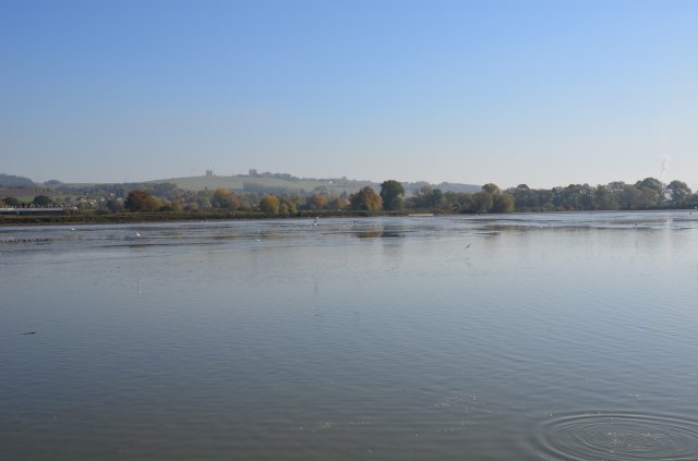 dsc_0449