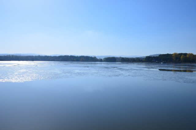 dsc_0486